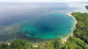 Wisata Bahari Parigi Moutong Pasca Gempa 2025: Keindahan Laut Teluk Tomini yang Tetap Bertahan