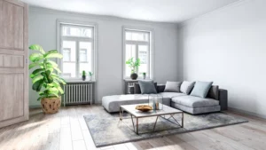 minimalisme